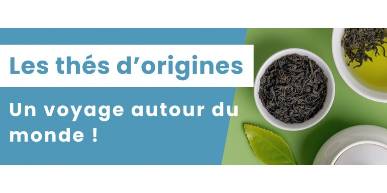 Voyagez au Cœur des Thés d'Origine : Une Invitation au Dépaysement