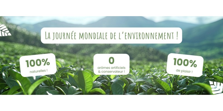 Journée mondiale de l’environnement !