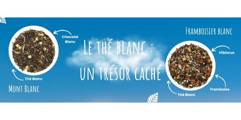 Le thé blanc : un trésor caché