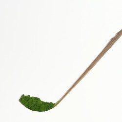 Matcha tea spoon