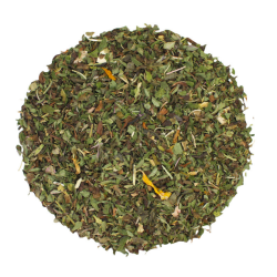 Thé Vert Japonais Biologique Thym, Romarin, Menthe, Citron | TeaTap