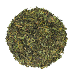 Thé Vert Menthe Bio