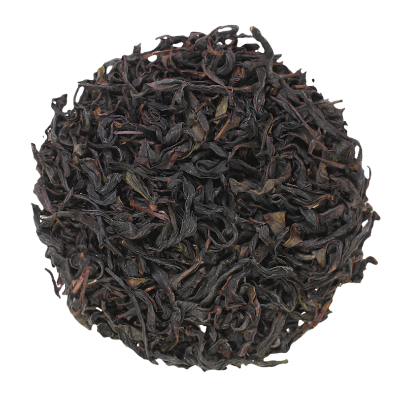 Dancong Bio