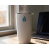 Coffret thés d'automne – 3 thés 100 g + mug isotherme | TeaTap