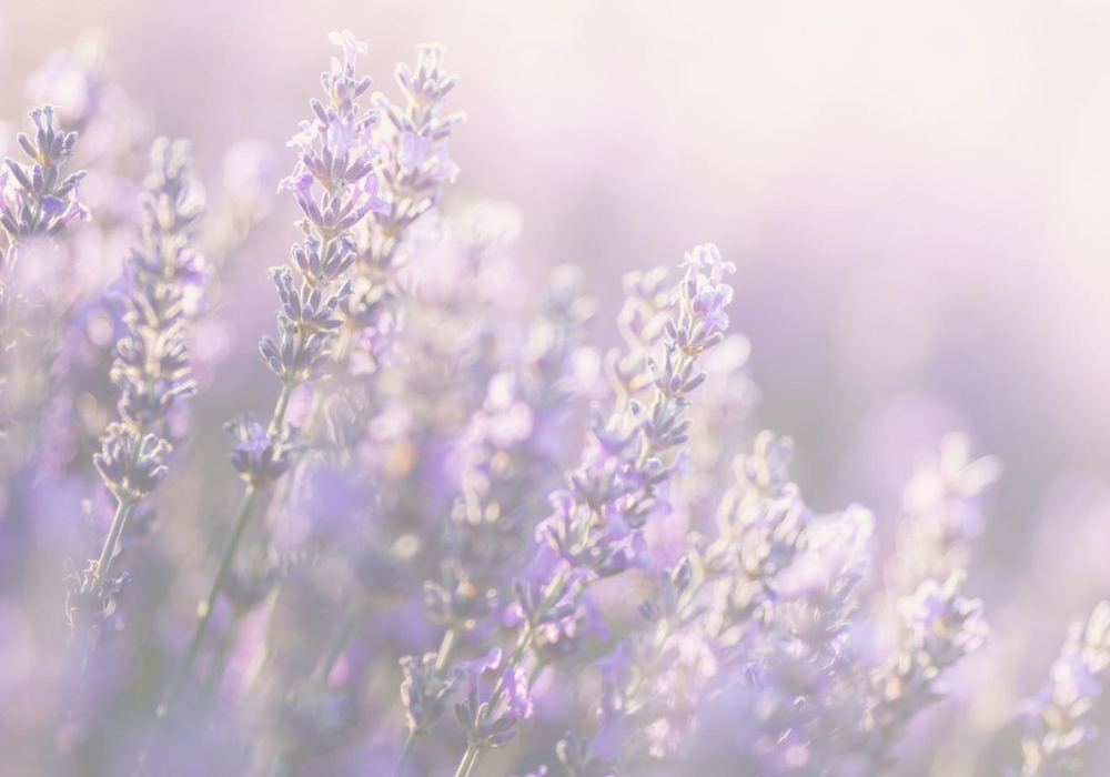 Floral et délicat
